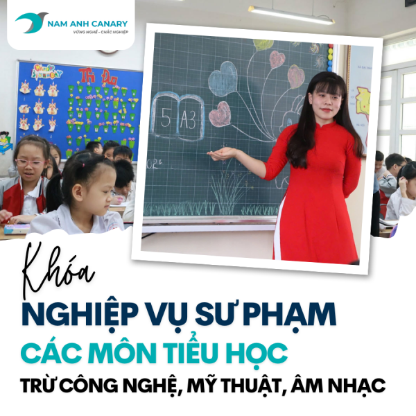 Khoá Bồi dưỡng Nghiệp vụ Sư phạm các bộ môn của Tiểu học 