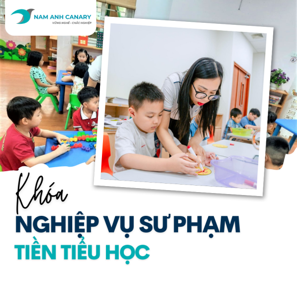 Khóa học Nghiệp vụ Sư phạm Tiền tiểu học