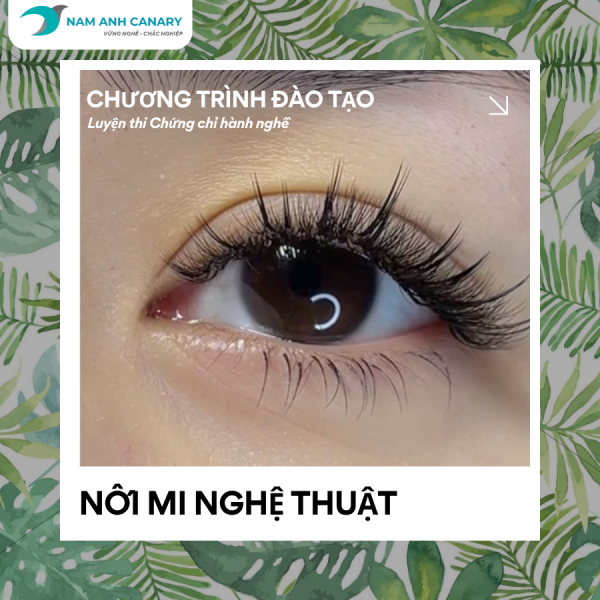Khoá luyện thi Chứng chỉ hành nghề 