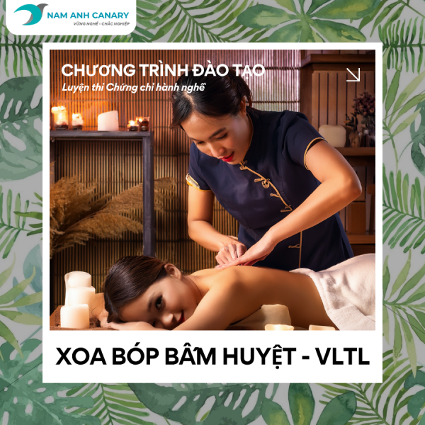 Khóa đào tạo thi Chứng chỉ hành nghề Xoa bóp bấm huyệt - Vật lý trị liệu