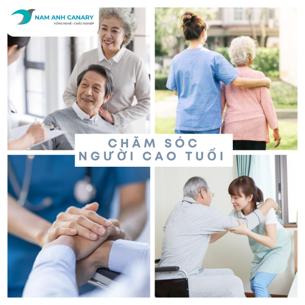 [Góc nghề] Việc của chăm sóc viên là 