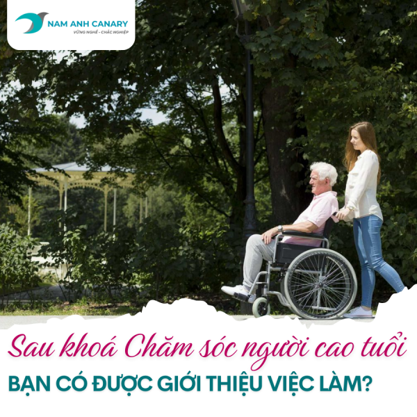 [Q&A] Học chăm sóc người cao tuổi tại Nam Anh Canary có được giới thiệu việc làm không?