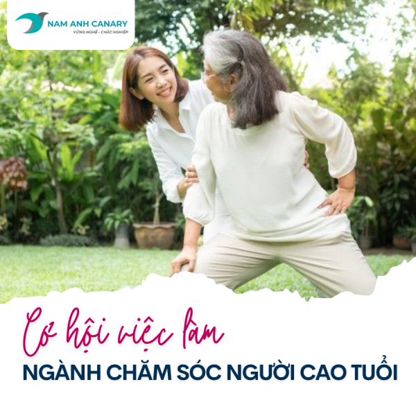Đi làm chăm sóc người cao tuổi có cần bằng cấp không? 3 lợi thế bạn không ngờ tới