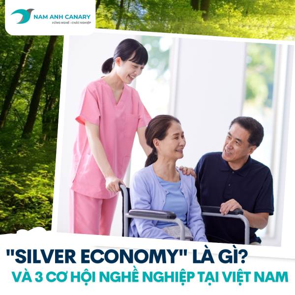 Silver Economy là gì? 3 cơ hội việc làm ngành chăm sóc người cao tuổi