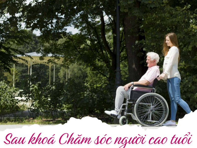 [Q&A] Học chăm sóc người cao tuổi tại Nam Anh Canary có được giới thiệu việc làm không?